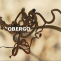 Obergo1