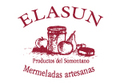 Elasun Logo 2